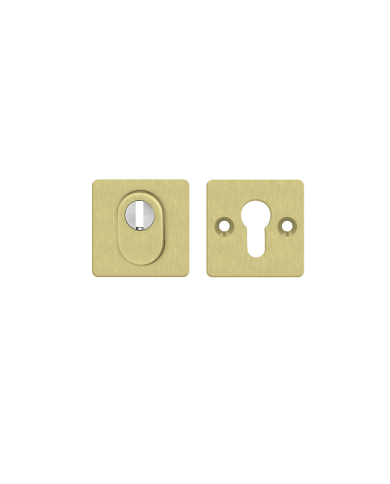 AXA Libera FLEX door escutcheon with security feature for external doors, gold colour